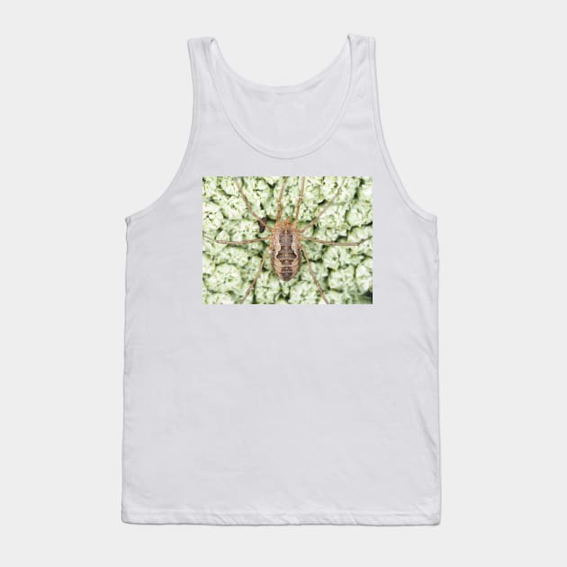 Harvestman - Phalangium opilio Tank Top by SDym Photography